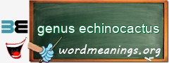 WordMeaning blackboard for genus echinocactus